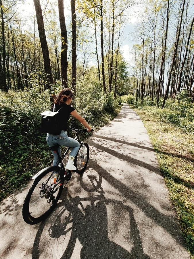 Forest Studio Druskininkai Dış mekan fotoğraf
